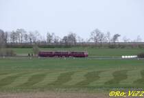 796 784-7, 998 228-1 und 798 670-1. Bahnhofsfest Ulmen, 27.04.2008.