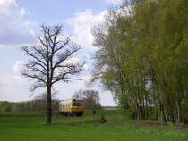 719 001 am 04.05.2008 kurz vor dem Ortseingang Hirschau. (Strecke Amberg-Schnaittenbach)
