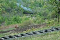 Der Zug bef�hrt am Pass die untere Haarnadelkurve um dann Minuten sp�ter das vordere Gleis zu befahren. Das Pferd war leider gerade am pausieren. Vor dem Zug und danach Pfl�gten 2 Bauern mit den 2 Pferden ihr Feld. (Mai 2008!)