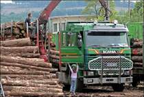 T�r zu: W�hrend der Vater das Holz auf die Waggons verl�dt versucht seine Tochter die Beifahrert�r zu schlie�en. Aufgenommen am 23.05.2008 in Hemer.
