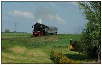 Ty2-911 aus dem BW Chab�wka bespannte anl�sslich der Dampflokparade in Wolsztyn am 3.5.2008 einen Sonderzug nach Leszno und wieder retour nach Wolsztyn. Die Aufnahme zeigt den Zug auf dem Weg nach Leszno ca. 3 Kilometer vom Bahnhof Wolsztyn entfernt.