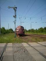 Die NOHAB wartet auf die Ausfahrt in Richtung Demmin.
Das Ausfahrsignal in Richtung Demmin aus Gleis 3 steht vor dem Bahn�bergang, alle anderen Asig hinter dem B�.