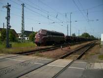 Gro�e �berraschung in Grimmen. Am 30. Mai 2008 kam mal wieder ein
Ganzg�terzug von Grimmen - Sch�tzenplatz in den Bahnhof Grimmen. Zu meiner �berraschung war der Zug mit einer NOHAB bespannt. Meines wissens nach Primere in Grimmen. Normalerweise erledigt dies ein Blue Tiger der MKB oder eine 132 von E.I.L.T. Am Schluss eine V180 C'C' von E.I.L.T