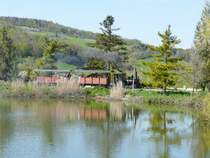 SchBB - Dampflok Emma unterwegs bei Bahnjubil�um 30 Jahre SchBB = Schinznacher Baumschulbahn am 27.04.2008