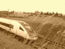 Der RABDe 500 026 am 6. Juni 2008 zwischen T�gerwilen Dorf und Kreuzlingen Bernrain.