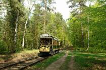 Im Waldst�ck zwischen Woltersdorf und Berlin-Rahnsdorf fuhr der Maximum-Tw 2990 gerade mit hoher Geschwindigkeit gen Woltersdorf. (03.05.08) 