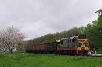 CME3 - 5893 mit G�terzug in Widiniv (03.05.2008)