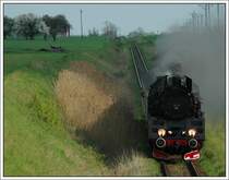 Planzug 79327 von Leszno nach Wolsztyn war am 2.5.2008 mit Ol49-69 bespannt. Die Aufnahme entstand kurz vor Wolsztyn an der Stelle, wo die Strecke nach Poznan die Strecke nach Leszno �ber eine Br�cke quert. Sie wurde 1949 in der Lokfabrik Chrzanow gebaut. Ol49-69 ist sehr h�ufig im Planeinsatz zwischen Wolsztyn und Poznan, bzw. zwischen Wolsztyn und Leszno anzutreffen. Neben Ol49-69 ist in Wolstyn auch noch Ol49-7 betriebsf�hig.
