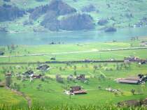 The Red Train mit BR 185 zwischen Steinen und Schwyz am 20.04.2008