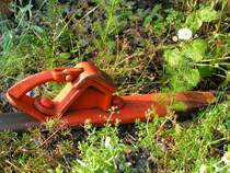 Hemmschuh nimmt ein  Kamillenbad ; 080612