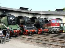 Fahrzeugparade am 31.05.2008 im Museums-Bw Nossen. Von links 18 201, 23 1113, 52 8047-4, LEG 232 004-2.