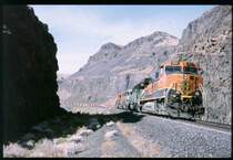 G�terzug der Burlington Northern im Tal des Columbia River 
im Juni 1998 