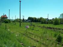 Ausfahrtsgleise im Bahnhof Vitzenburg, frher Ausgangspunkt der Eisenbahnstrecke nach Querfurt, was man an dem Gleis im Vordergrund noch erkennen kann; 10.05.2008