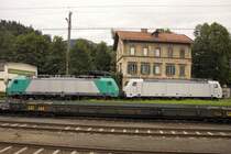 Und noch ein besonderes P�rchen im Bahnhof Kufstein/Tirol: in gr�n-silber pr�sentiert sich 186 110-3 und ganz in wei� 186 909-8.
Weitere Hinweise auf Eigent�mer oder Leasingunternehmen waren nicht vorhanden, ebenso fehlten Werbefolien oder dergleichen. (20.07.2008)