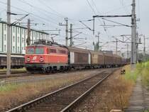 Altlack 1142 572 ist am 02.08.2008
mit einem G�terzug in Wels durchgefahren.