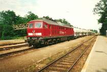 232 613 mit einem Ganzzug aus Szczecin Gumience im Juni 1999 im kleinen Grenzbahnhof Grambow.