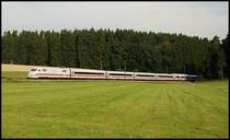 Ein ICE-1 durchf�hrt einen Tannenwald in der N�he von Beimerstetten. Aufgenommen im Juli 2008.