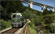 Aus dem S�dportal des Twimbergertunnel f�hrt Diesellok 2050 04 mit Sonderzug 19815 von Leoben nach Lavam�nd.
Twimberg 10.08.2008
