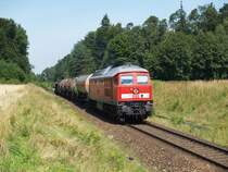 233-588 am 30.07.2008 bei T��ling