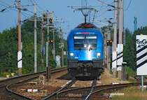 1116 080  UEFA EURO 2008  bespannte am 17.08.2008 den R2213 von Satov nach Wien S�dbahnhof. Hier kurz vor dem Bahnhof in Korneuburg.