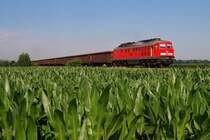 233 486 mit CS 60885 vor M�hldorf (02.07.2008)