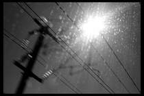 Oberleitung - aufgenommen aus einem fahrenden TGV 