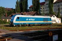  ALEX  223 071 als  Blumenkind . Er l��t sich sanft von der Sonne wachk�ssen... (Lindau, 30.08.08).
