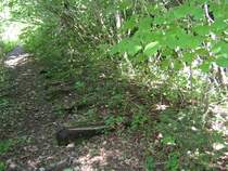 ehemalige Bregenzerwaldbahn, ziemlich genau bei km 20,4 - 20,6 ist die Trasse schon vor Jahren komplett in die Bregenzerach abgerutscht. Der Wanderweg verl�uft hier deshalb nicht auf der ehemaligen Trasse, sondern ist in einiger Entfernung gef�hrt. 

Deshalb ist die Trasse hier auf ca. 200 m vor dem Abgrund komplett zugewachsen. So w�rde die gesamte Trasse ohne den Wanderweg aussehen. Es ist auch die einzige Stelle zumindest zwischen Doren-Sulzberg und Egg, wo noch Schwellen an der Originalstelle liegen. ca. 10 m weiter hinten geht es ca. 30m senkrecht hinab.