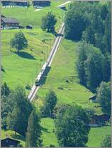 Diese Einheit der WAB bew�ltigt die steile Abfahrt kurz vor der Haltestelle Grindelwald-Grund am 30.07.08. (Hans)
