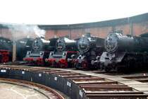 23 1113, 1097, 58 261 und 50 2628 beim Heizhausfest im SEM, 22.08.08