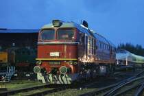 Die Chemnitzer Taigatrommel bei der Nachtfotoparade, 22.08.08