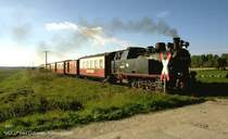  Molli  Zug im Abendlicht in Richtung Bad Doberan in der N�he der Haltestelle  Steilk�ste  Sept.1995(Archiv P.Walter)