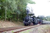 die P8 mit der Bezeichnung 638.1301 k�mpft sich mit 01 118 im Hintergrund mit dem 8-Wagen-Zug die schiefe Ebene hoch, auch mit heftigem schleudern. Aber sie hat tapfer durchgehalten, die alte Dame