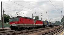  Alpenheuler -Power: 1144 230 (9181 1144 230-0) und 1144 253 (9181 1144 253-2) ziehen gemeinsam den  WALTER-Express  zum Brenner....
