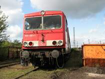 Die vor dem Aussterben bei der DB AG bedrohte BR 155 auf dem Eisenbahnfest in Berlin Sch�neweide am 03.10.2008.