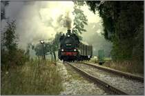 Dampflok 657.2770 f�hrt mit einem Sonderzug von Timelkam nach Ampflwang. 4.10.2008