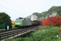 BLS cargo 485 010-3 mit G�terzug am 12.10.2008 bei Istein. 