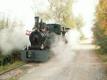 Umsetzen der beiden IRR Baulokomotiven(Die letzten zwei von ehemals 28 Dampfloks bei der IRR)bei der Rheinm�ndung.Dann geht es  Tender  voraus wieder zur�ck nach Lustenau.12.10.08