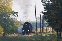 Pt47 an der Station Wroniawy (2 Stationen vor Wolsztyn) auf der Fahrt von Leszno nach Wolsztyn.
Am 13.10.2008 16:35 Ankunft Wolsztyn 16:44