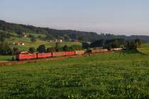 232 173 und 232 352 mit dem Arlbergumleiter CFN 45190 bei Ellenberg (21.08.2008)