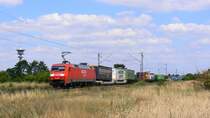 152 126 fuhr ende Juli 2008 mit einem KLV Zug bei Wiesental (KBS 700) nach S�den Richtung Karlsruhe.