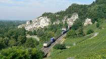 189 995SE von TXL mit einem G�terzug in Istein fuhr Ende Juli Richtung Basel.