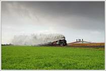 657.2770 der �GEG, welche f�r eine Fotodampfveranstaltung rund um M�hldorf als 57 2770 umbezeichnet wurde, am 17.10.2008 mit einem Fotog�terzug kurz nach M�hldorf aufgenommen.