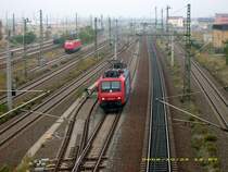 Am 25.10.08 durchf�hrt 482 009 der SBB Cargo den bahnhof Bitterfeld in Richtung Leipzig/Halle.