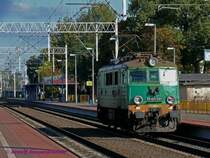 Klassische Polin: Die PKP Ellok EP07-391.
27.09.2008  Rzepin (Reppen)