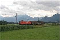 Modellbahngerecht ist die 152 023 mit ihren Drei G�terwagen in Richtung Rosenheim unterwegs. Welches ist besser? (09.07.2008)

