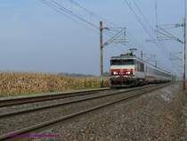 SNCF BB15025 mit EC91 (Br�ssel-Basel) unterwegs in der els�ssischen Rheinebene auf dem Weg von Strasbourg Richtung S�den. Noch immer (wenn auch l�ngst nicht mehr vor jedem Zug) lassen sich im Elsa� BB15000 mit hochwertigen Reisez�gen fotografieren.
11.10.2008 bei Lipsheim 