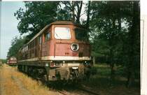 Auf Wunsch von Alexander Hertel: 231 018 im August 1998 in J�terbog Altes Lager.Die kommenden Tage kommen noch 231 012 und 231 050.
