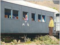 Bei den einheimischen Kindern l�sen die Z�ge mit ihren  komischen  Passagieren meist ungl�ubiges Staunen aus. (28.10.2008)