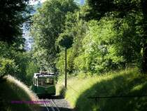Bergfahrt eines Elektrotriebwagens der Drachenfelsbahn. Im Hintegrund ist im Tal K�nigswinter, der Ausgangspunkt der Bahn, zu erkennen.
Diese �lteste existierende deutsche Zahnradbahn ist im Jahr 2008 125 Jahre alt geworden.
01.07.2008 